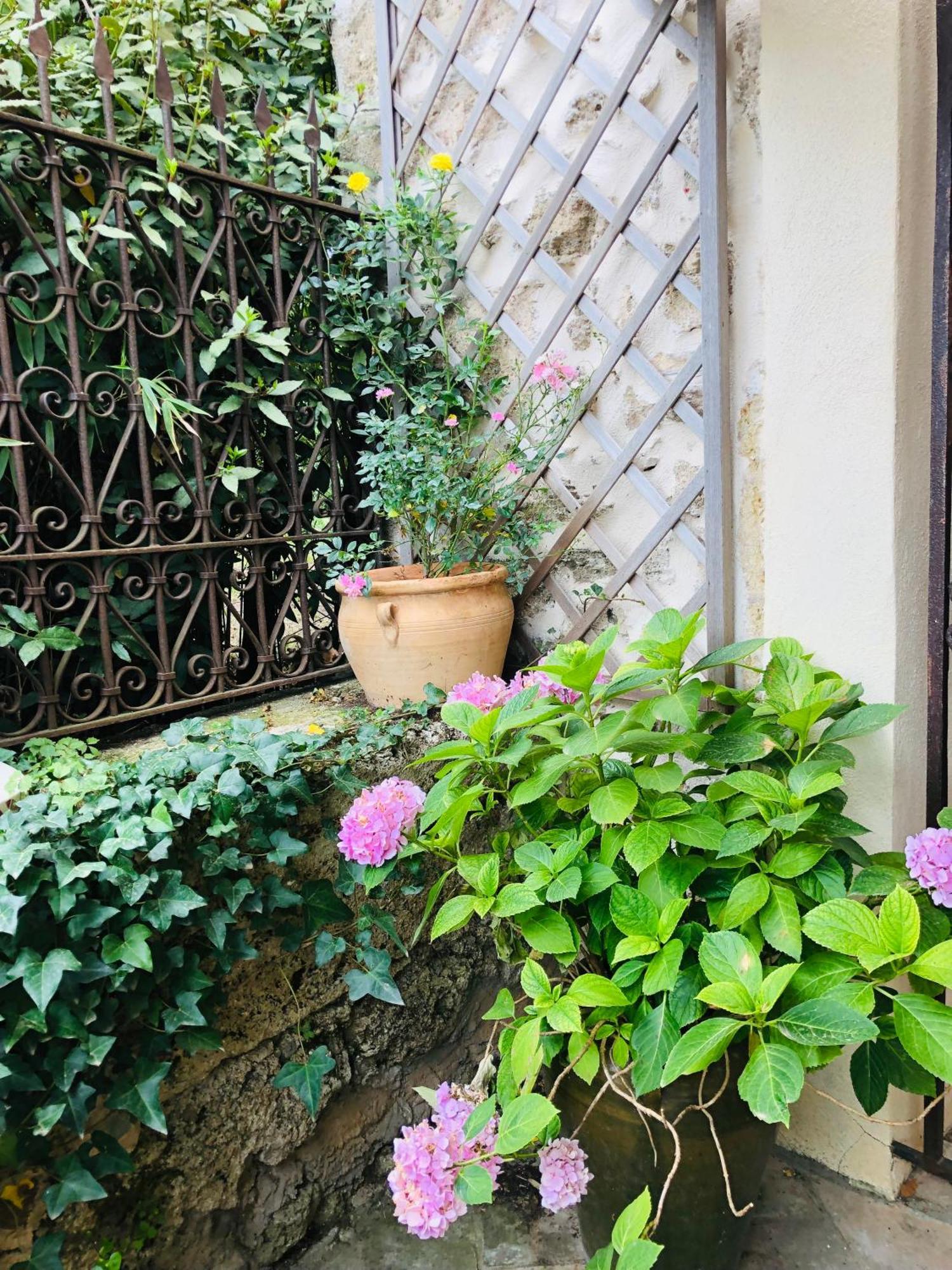 Au Bout Du Pre Hotel Pézenas Exterior foto